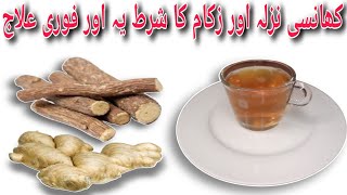 Cough Cold And Flu Remedy By Nabiya Kitchen [upl. by Baelbeer53]