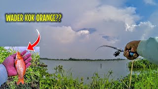 Mencoba mancing di spot HONAI waduk cengklik [upl. by Annoif]