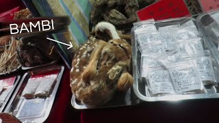 INSIDE a CHINESE WET MARKET Tiger Claw Pangolin amp More [upl. by Clementine]