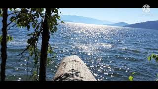 City Beach Sandpoint  Idaho [upl. by Eelyme]