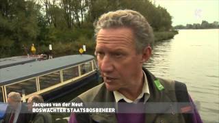 Beverjubileum in de Biesbosch [upl. by Tsirc]