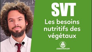 Les besoins nutritifs des végétaux  SVT  6e  Les Bons Profs [upl. by Salguod]