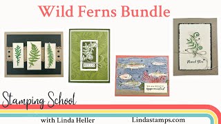 Wild Ferns Bundle [upl. by Morville]