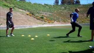 GOALKEEPER TRAINING HIGH BALL AND LOW DIVE [upl. by Gunzburg229]