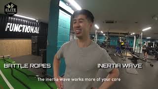 Inertia Wave ® vs Battle Ropes [upl. by Nedgo202]