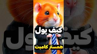 هشدار برای اتصال کیف پول همستر کامبت همسترکامبت [upl. by Eenaffit440]