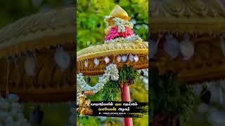 alagar whatsapp status yadava kula theivam  mayon  alagar  alagar Kovil [upl. by Ynattirb]