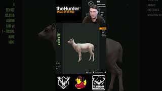 Hunting Red Deer Found Something Fallow theHunter Call of the Wild [upl. by Gurney]