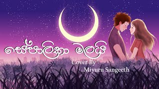 Sepalika Malai සේපාලිකා මලයි Cover By Miyuru Sangeeth [upl. by Latoya872]