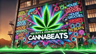 sunocom  Rise Up v2  Cannabis Beats Hard House Big Beats 420 Music Stoner Beats [upl. by Marlene]