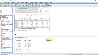 Test of Normality of Data in SPSS  Abhiks vlog [upl. by Nonregla]