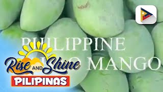 Alamin Mango automated neural net generic grade assignor o MANGGA Project [upl. by Nafri]