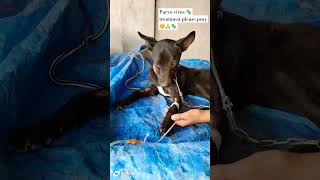 Parvo virus 🦠 today treatment please pray 😔🙏yputubeshorts dog 😭viralvideo trending 🙏 [upl. by Jens]