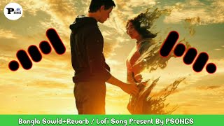 Pakhi Amar Nithur Boro  TikTok Vairal Song  Fahim  Shahin  পাখি আমার নিঠুর বড়  LoFI Song [upl. by Boynton]