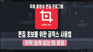 곰믹스 사용법 음악넣기 영상 자르기 자막 넣는법까지 기본적인 것과 꿀팁까지 간단하게 알려드려요 [upl. by Dnumde491]