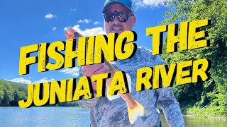 Juniata River Walleye [upl. by Niamreg]