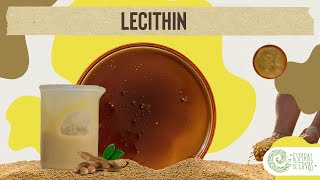 LECITINA DE SOJA  Série Ingredientes para Cosmética Natural [upl. by Eitsyrk]