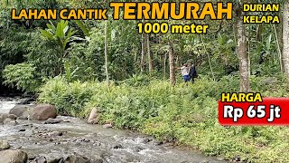 Dijual Lahan Kebun Cantik SUPER MURAH Pinggir Sungai  Pohon Durian amp Kelapa  ABAH PROPERTI [upl. by Mathis]