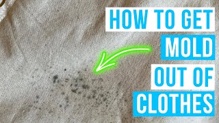 How to GET MOLD OUT OF CLOTHES  mold stains removal [upl. by Aynotan137]