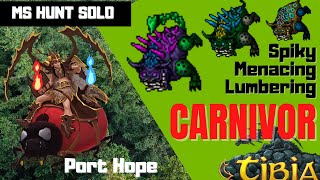 TIBIA CARNIVORA HUNT  MASTER SORCERER SOLO [upl. by Einnad]