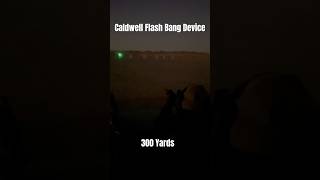 Caldwell FlashBang Steel Target Hit Indicator at 300 Yards 308 sniping lightshow [upl. by Zailer]