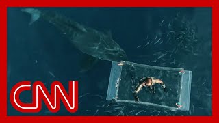 New heartstopping footage of massive great white shark attack [upl. by Alasteir]