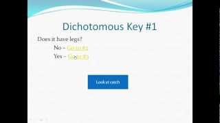 How to construct Dichotomous key classification ll High school Biology [upl. by Maible]