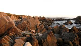 Asilomar State Beach Pacific Grove California [upl. by Nerret]