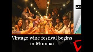 Vintage wine festival begins in Mumbai  Maharashtra News [upl. by Htebazle468]