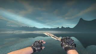 BROKEN FANG GLOVES ★UNHINGED BattleScarred CSGO 4K [upl. by Nennek]