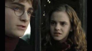 Ever After Trailer Harry Potter Style [upl. by Aidyl947]