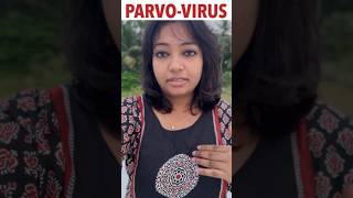 Parvo virus symptoms amp Treatment parvovirus parvodogstreatment [upl. by Broderic215]