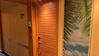 CARNIVAL HORIZON DELUXE OCEAN VIEW CABIN TOUR [upl. by Vernon151]