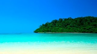 Relaxing Music With Nature Sounds  Tropical Beach HD  Music and Ocean Sound [upl. by Ellehcor]