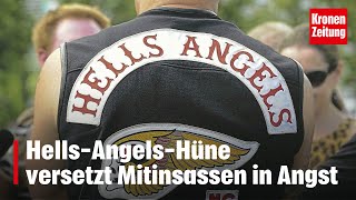 In Wiener Häfn HellsAngelsHüne versetzt Mitinsassen in Angst  kronetv NEWS [upl. by Ddat]