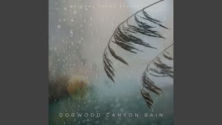 Dogwood Canyon Rain [upl. by Ellennej651]