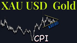 XAuUSD Gold Technical Analysis 12 to 16 february 2024 [upl. by Yi826]