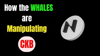 CKB How the Whales are Manipulating NERVOS NETWORK ckb [upl. by Menashem]