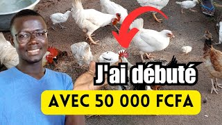 Comment débuter lélevage des Poules Locales avec 50 000 FCFA [upl. by Warford]