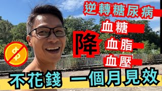 極速減肥，不反彈。運動「零」痛苦。 幫助控制高血糖高血脂高血壓。尿酸痛風都可舒緩。 齊齊來超慢跑。超慢跑 糖尿病 高血脂 脂肪肝 高血壓 減肥瘦身不反彈 增加血液循環 微循環 [upl. by Tiras]