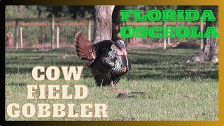 FLORIDA OSCEOLA TURKEY HUNT [upl. by Ahsym]