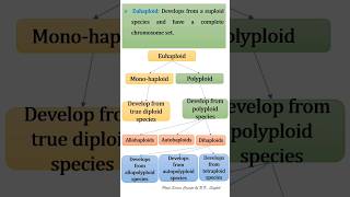 Haploid and Aneuploidy [upl. by Ploch]