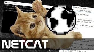 NetCat Super Fast Reverse Shell WUsb Ducky [upl. by Vanya]