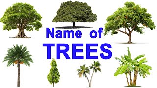 Trees and Plants name in English  Trees name in English  Types of Trees Vocabulary [upl. by Marka]