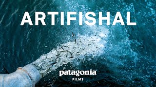 Artifishal Trailer [upl. by Emerej]