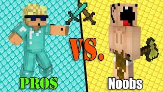 Incredibly STUPID Noobs VS SUPER Pros  Minecraft [upl. by Manuel]