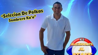 CASTEL Y SU GRUPO  SELECCION DE POLKAS SOMBRERO KAA  Polka Paraguaya 2024 Igustokuete [upl. by Leirvag567]