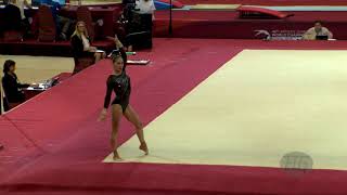 NEKRASOVA Marina AZE  2018 Artistic Worlds Doha QAT  Qualifications Floor Exercise [upl. by Euqinom937]