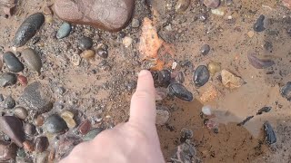 Ordinary Beach Rock Found Buried in the Sand Turns into a Fabulous GEMSTONE [upl. by Enaelem858]