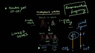 Gene Mapping  Principles of Inheritance  Biology  Khan Academy [upl. by Lightfoot]